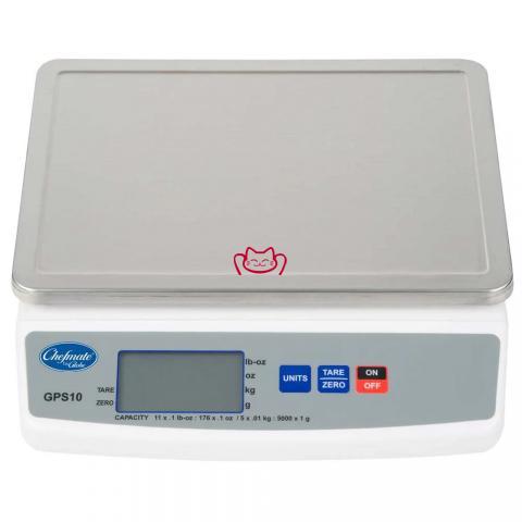 GLOBE GPS10-8  11磅 船用数字式...